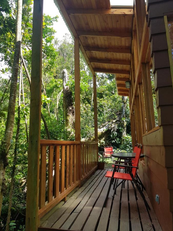 Finca Terra Viva Monteverde Eksteriør billede