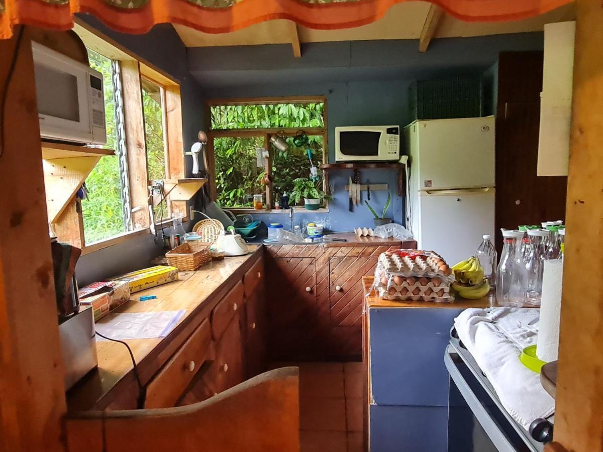 Finca Terra Viva Monteverde Eksteriør billede