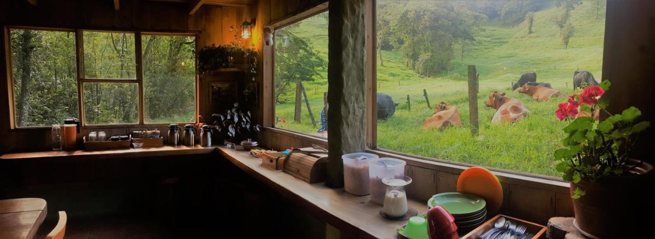 Finca Terra Viva Monteverde Eksteriør billede