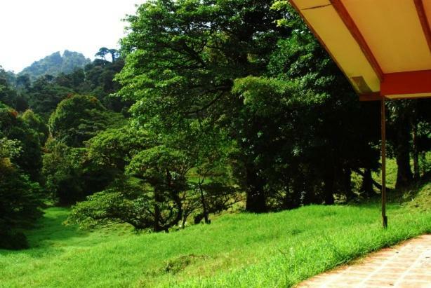 Finca Terra Viva Monteverde Eksteriør billede