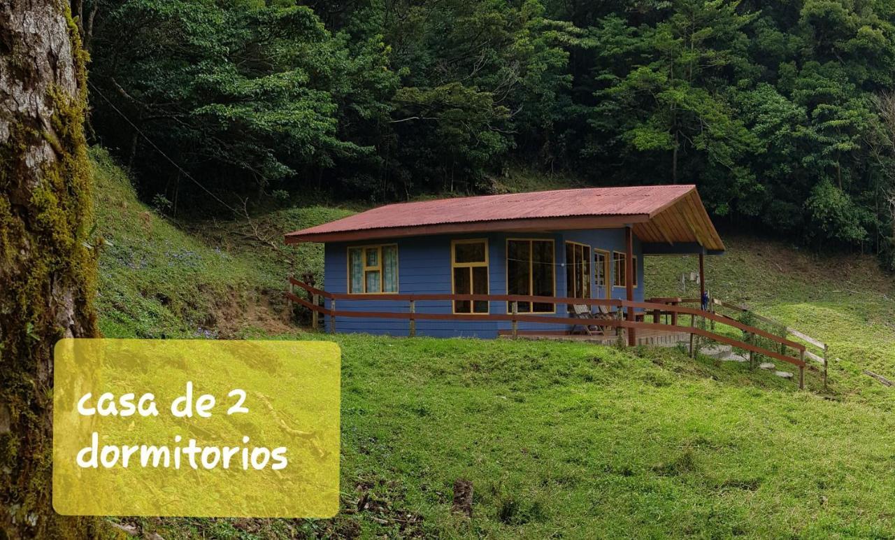Finca Terra Viva Monteverde Eksteriør billede