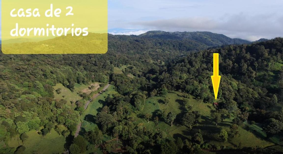 Finca Terra Viva Monteverde Eksteriør billede