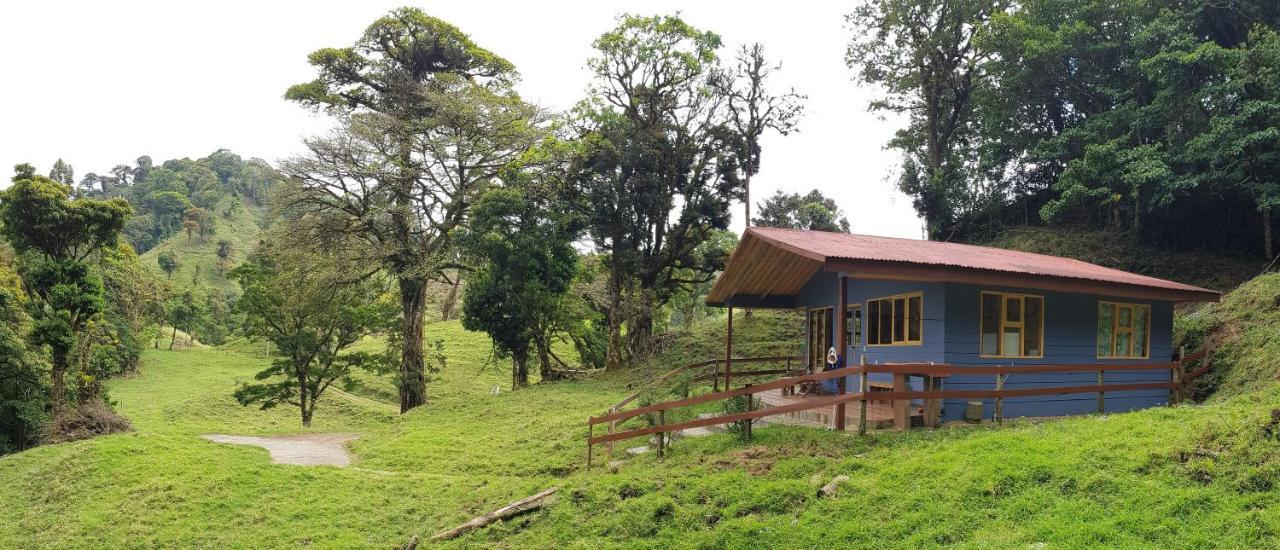 Finca Terra Viva Monteverde Eksteriør billede
